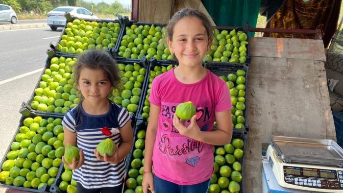 Kış Uzun Sürünce Aydın’da Tezgahları Manisa İnciri Süsledi