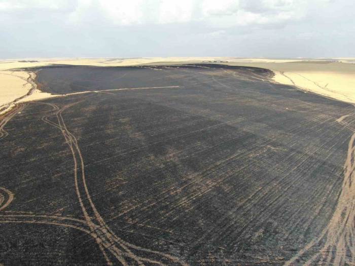 Anız Yangınlarıyla Milli Servet Yok Oluyor