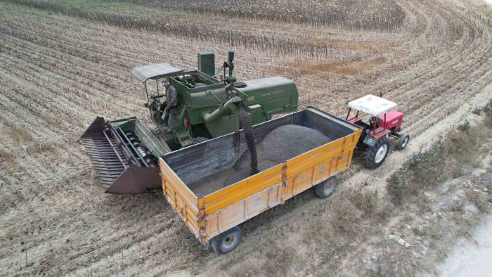 Stratejik Ürün Olan Yağlık Ayçiçeğinde Hasat Başladı
