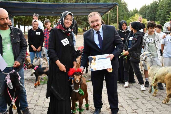 Emet’te Oğlaklar Podyuma Çıktı