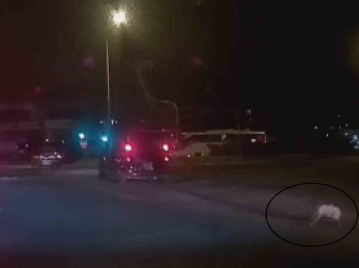 Çocuk Aracın Bagajından Yolun Ortasına Düştü