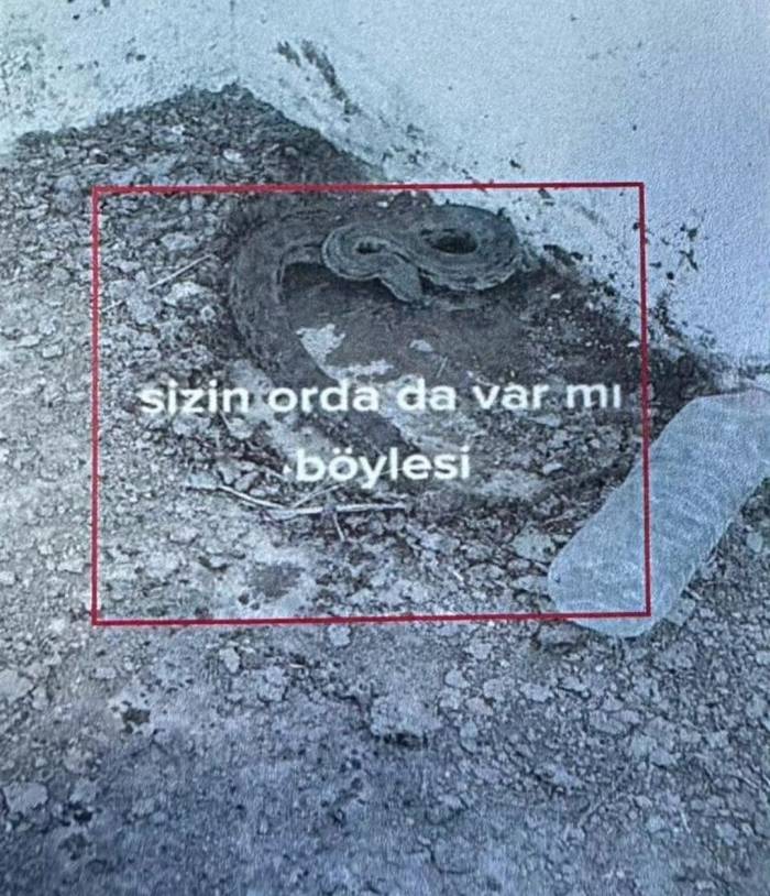 Iğdır’da Engerek Yılanlarını Yakalayıp Videosunu Paylaşan Çobana 5 Bin 500 Lira Ceza