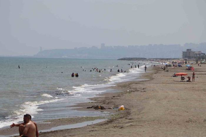 Rip Akıntısında Hayatta Kalma Formülü