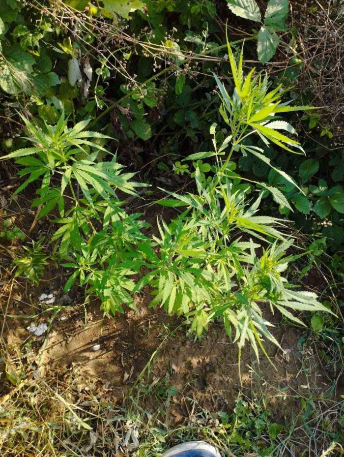 Tekirdağ’da Zehir Tacirlerine Darbe: 7 Zanlı Gözaltına Alındı