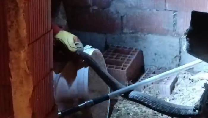 Türkiye’nin En Zehirli Yılanı Tavuk Kümesine Girdi