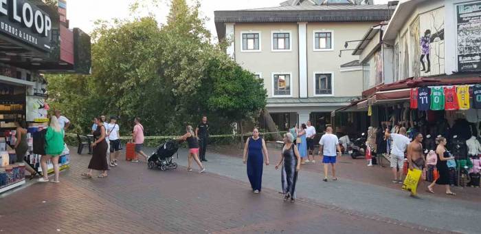 Alanya’da Asırlık Çınar Gövdesinden Kırılıp Yola Devrildi