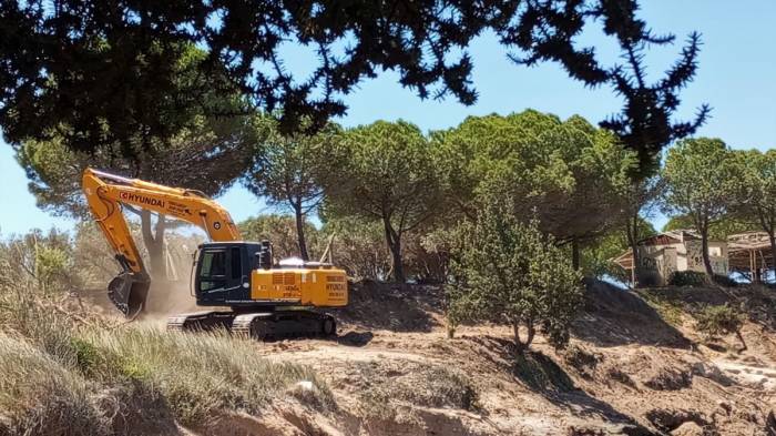 Tabiat Alanında, Kepçe Ve Hızarlı “temizlik”, Doğaseverlerin Tepkisini Çekti