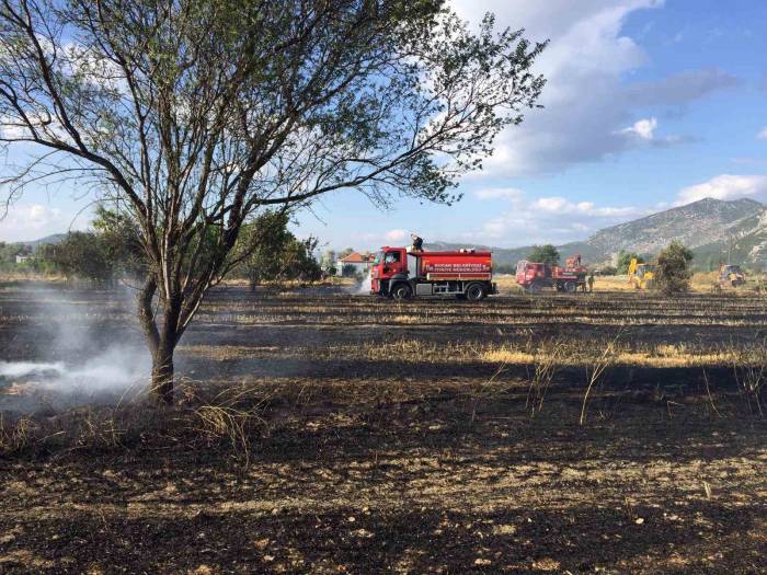 Burdur’da 40 Dekar Arazi Ve Arı Kovanları Yangında Küle Döndü