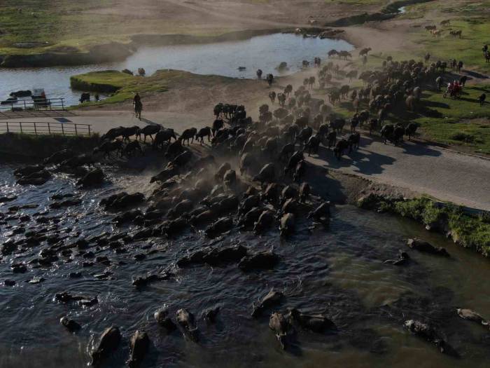 Burası Afrika Değil Kayseri