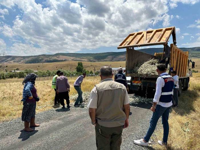 İzinsiz Pamuk Dikeni Toplayan Şahsa 244 Bin Lira Para Cezası