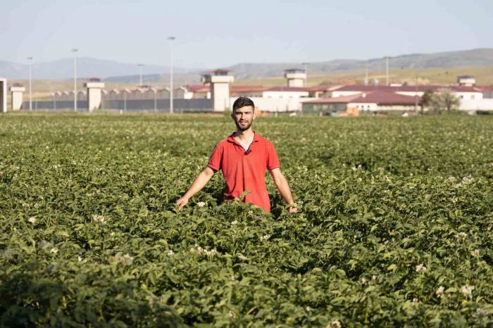 Fenomen Çiftçinin Afyon Şivesiyle Yaptığı Espriler Dilden Dile Dolaşıyor