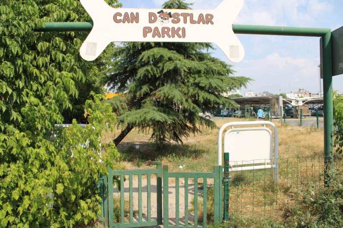 Can Dostlar Köpek Parkı Sahipsiz Kaldı