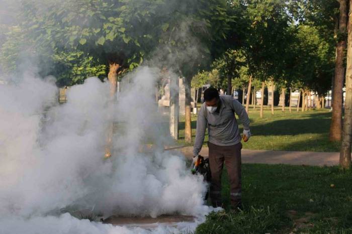 Batman’da İlaçlama Çalışmaları Tüm Hızıyla Devam Ediyor