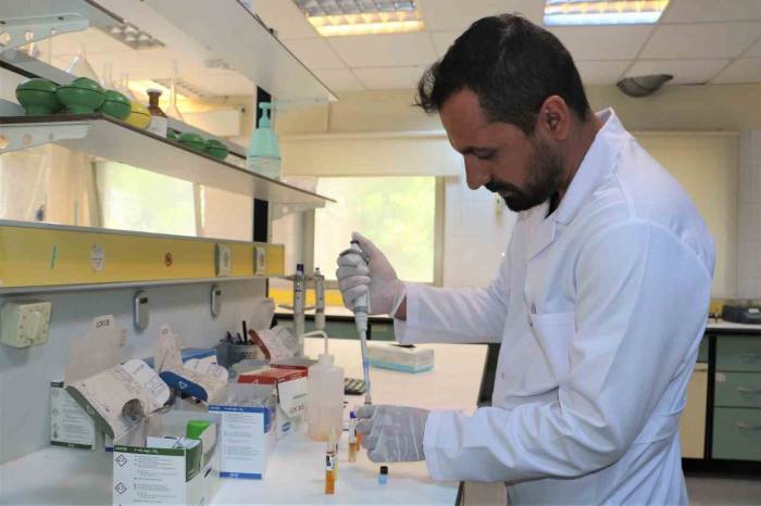 Diyarbakır’da Günlük Ortalama 100 Bin Ton Atıksu Arıtılıyor