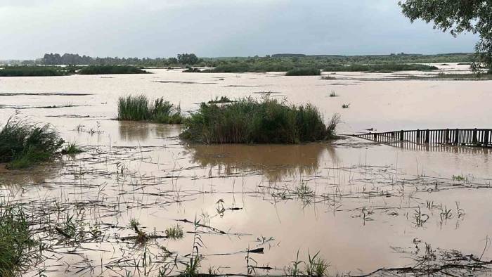 Efteni Gölü Yağışlar Sonrası Taştı