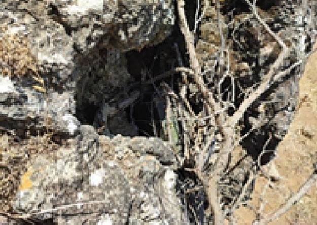 Terör Örgütünün Sözde Zap Sorumlusunun Yakın Adamı, Saklandığı Mağarada Etkisiz Hale Getirildi
