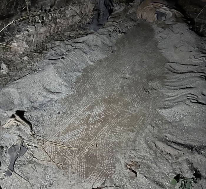 Koruma Altındaki Mozaik Çevresinde Kaçak Kazıya Suçüstü