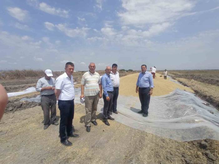 Manyas’ta Tmo Hububat Alım Merkezi Açıldı