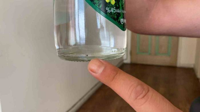 Kapalı İçki Şişesinin İçinde Şok Eden Görüntü