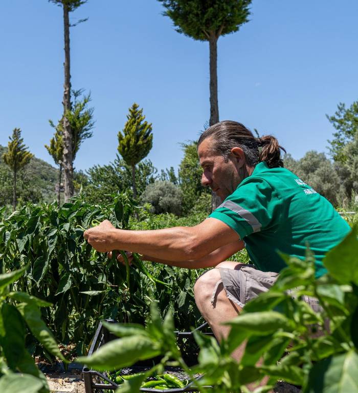 Adabahçe’nin Sağlıklı Ürünleri Sofralarda Yerini Almaya Başladı