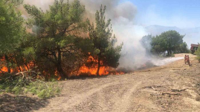 Adana’da Orman Yangını