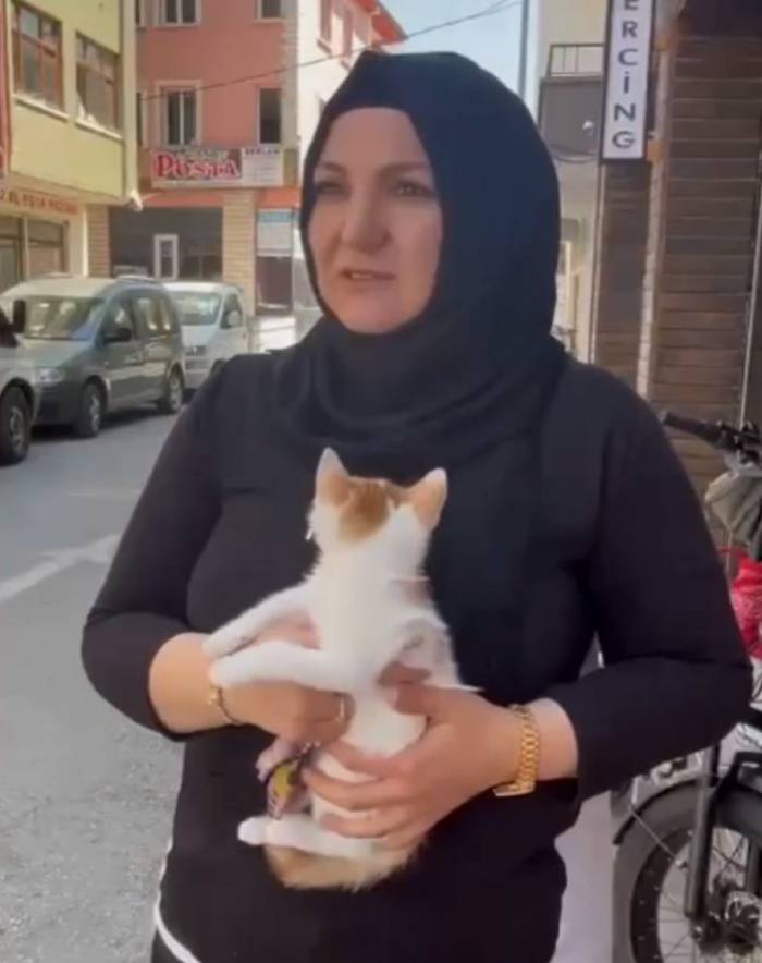 Balkonda Mahsur Kalan Yavru Kediyi İtfaiye Kurtardı