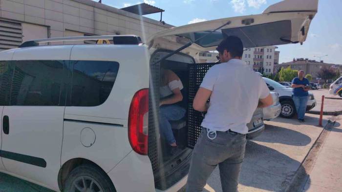 Kiracı Ve İşyeri Sahibi Kavgasında 2 Kişi Tutuklandı, 1 Kişi Sınır Dışı Edildi