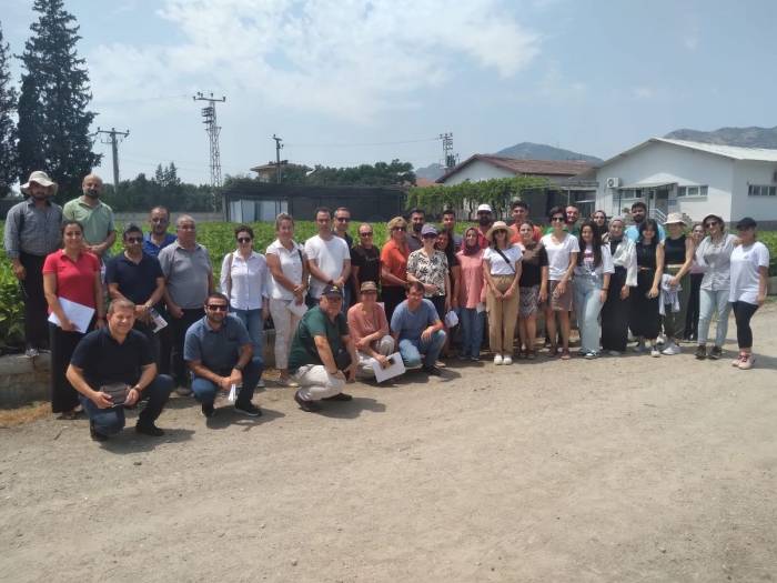 Aydın İnciri Muğla’da Da Yetişecek