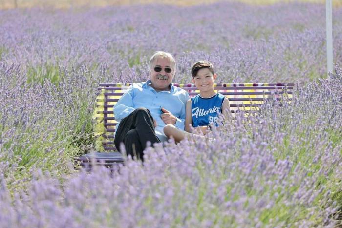 Aksaray Belediyesinin Lavanta Bahçesi Ziyaretçilerin Akınına Uğruyor