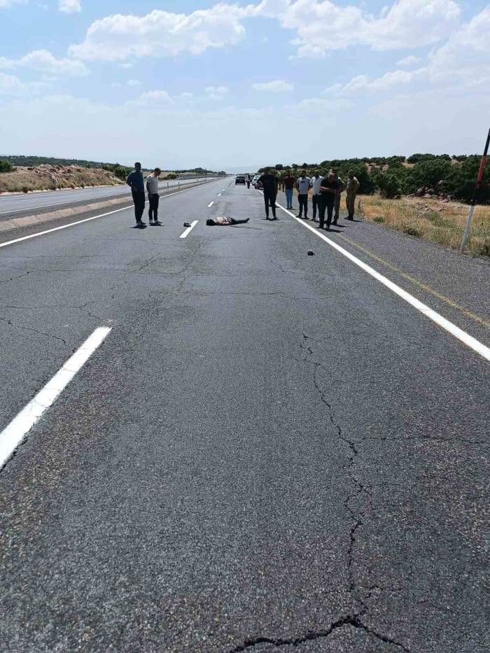 Elazığ’da Yolun Karşısına Geçmeye Çalışan Yayaya Araç Çarptı