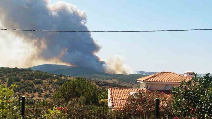 Milas Yangını Büyüyor