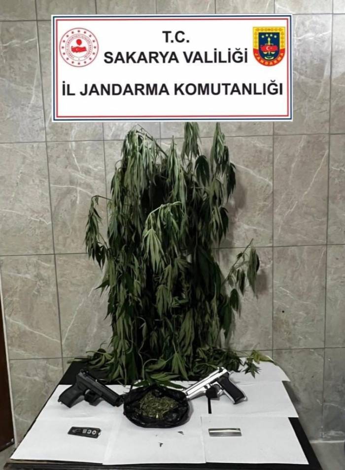 Jandarmadan Uyuşturucu Operasyonu: 1 Gözaltı