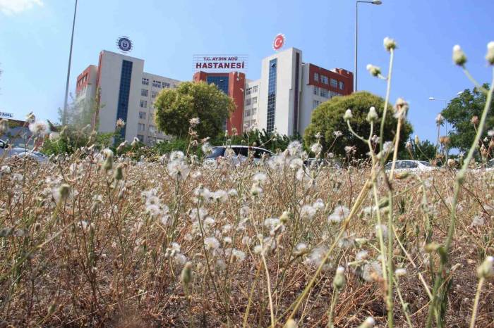 Adü Hastanesi’nden Kaçan Psikiyatri Hastası Dehşet Saçtı