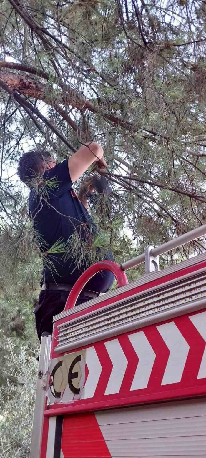 Karganın İmdadına İtfaiye Yetişti