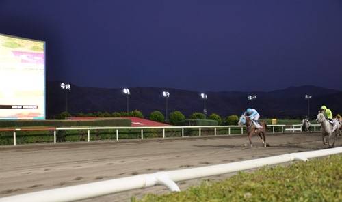 Elazığ Valilik Koşusu’nu Sararhan Kazandı
