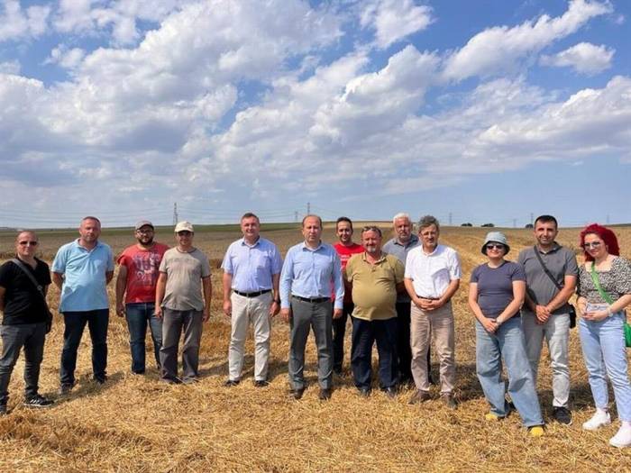 Tekirdağ’da Buğday Hasadı Devam Ediyor