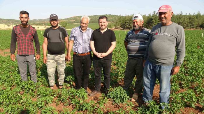 Suya Kavuşan Köyde Arazi Fiyatları Değerlendi, Geri Dönüşler Başladı