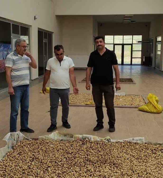 Salep Soğanlarını Tahrip Eden Kişilere 488 Bin 628 Tl Para Cezası Verildi