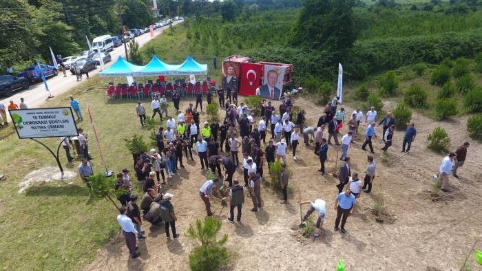 Sinop’ta 15 Temmuz Şehitleri Anısına 251 Fidan Toprakla Buluştu