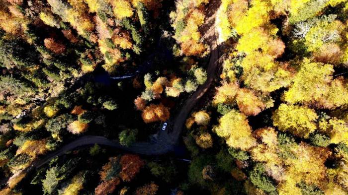 Türkiye’nin En Büyük Blok Ormanlarına Girişler 3 Ay Yasaklandı