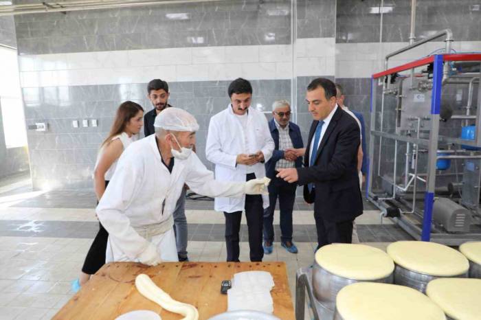 Vali Öksüz, Sanayi Tesislerinde İncelemelerde Bulundu