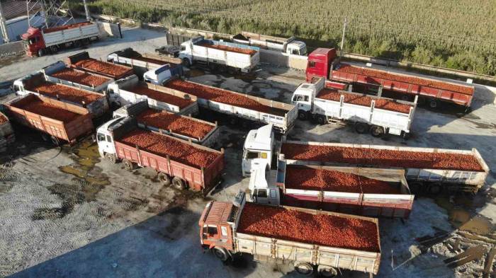 Depremle Enkaza Dönen Kentte Üretilen Salça, Abd, Almanya Başta Olmak Üzere 20 Ülkeye İhraç Ediliyor