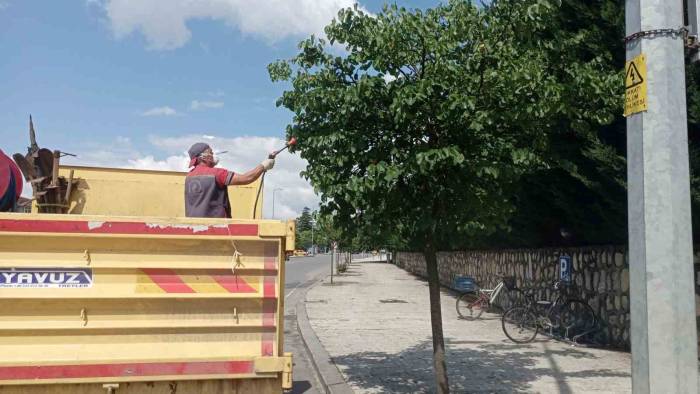 Park Bahçeler, Düzce’yi İlmek İlmek İşliyor