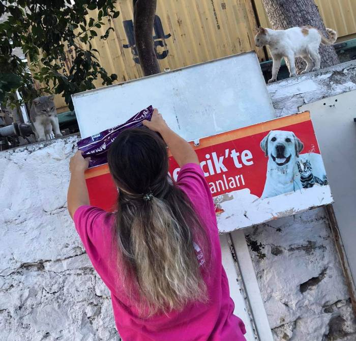 Germencik Belediyesi Kavurucu Sıcaklarda Can Dostlar İçin Seferber Oldu