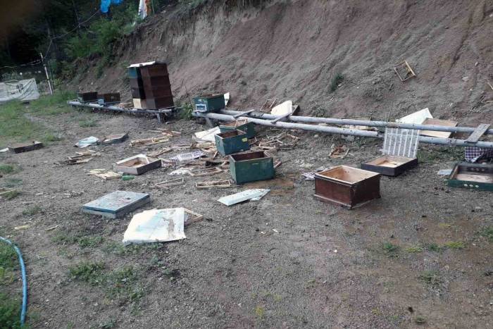 Ayılar Çitin Altını Kazarak Girdikleri Alandaki Kovanları Parçaladı