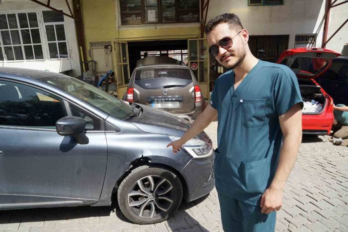 Veteriner Hekimin Aracını Başıboş Köpekler Parçaladı, Görüntüleri İzleyince Şoke Oldu
