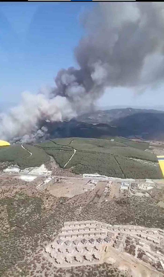Bodrum Yangınına 7 Helikopter 3 Uçak Müdahale Ediyor