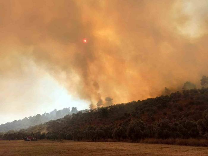 Bodrum’daki Orman Yangınına Havadan Ve Karadan Müdahale Sürüyor