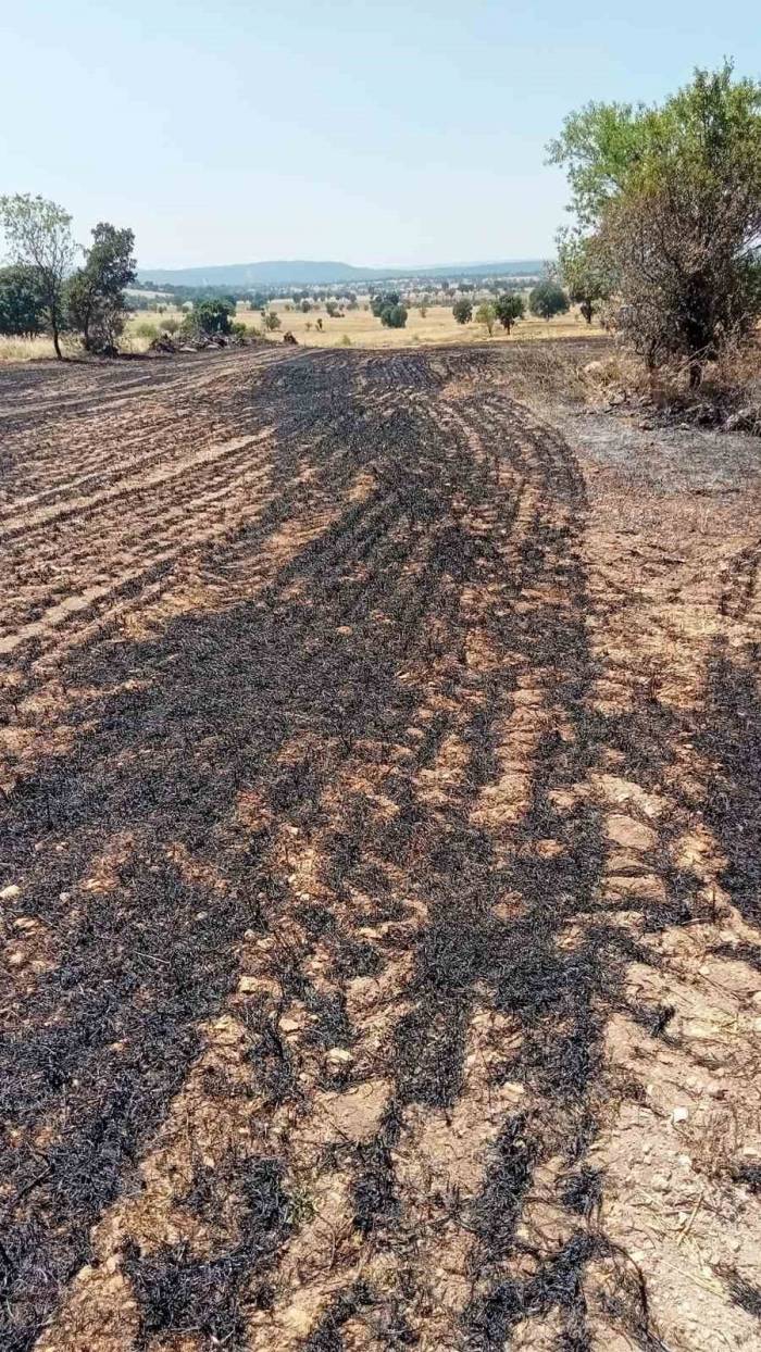 Anız Yangınında 2 Dekar Alan Zarar Gördü
