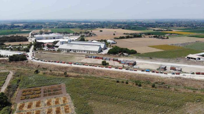 Uzun Traktör Kuyruğu Oluşturan Çiftçiler, Kavurucu Sıcağın Altında Ürünlerini Satmayı Sürdürüyor